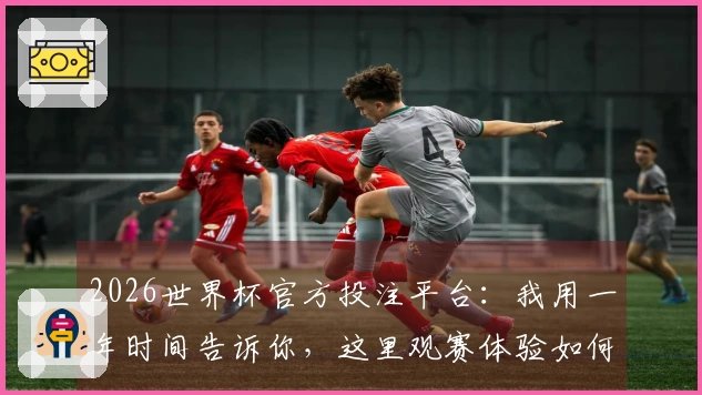 2026世界杯官方投注平台：我用一年时间告诉你，这里观赛体验如何