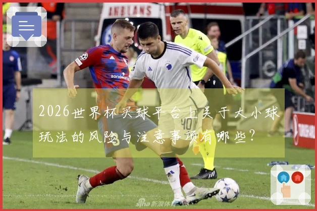 2026世界杯买球平台上关于大小球玩法的风险与注意事项有哪些？