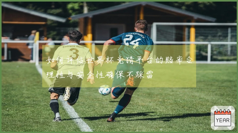 如何评估世界杯竞猜平台的赔率合理性与安全性确保不踩雷