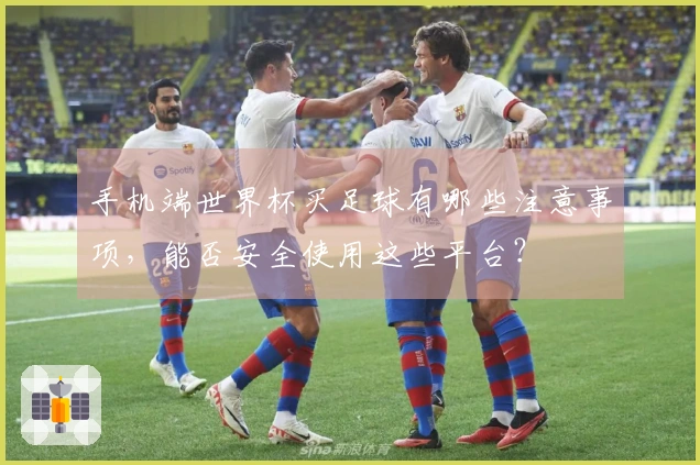 手机端世界杯买足球有哪些注意事项,能否安全使用这些平台?