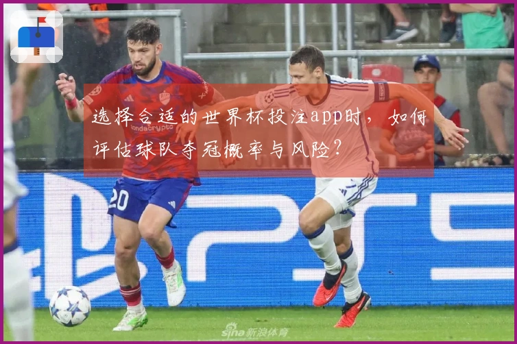 选择合适的世界杯投注app时，如何评估球队夺冠概率与风险？