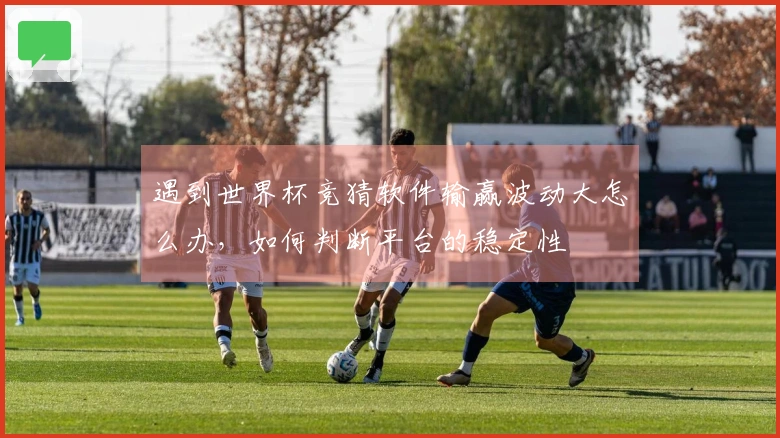 遇到世界杯竞猜软件输赢波动大怎么办，如何判断平台的稳定性