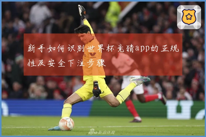 新手如何识别世界杯竞猜app的正规性及安全下注步骤