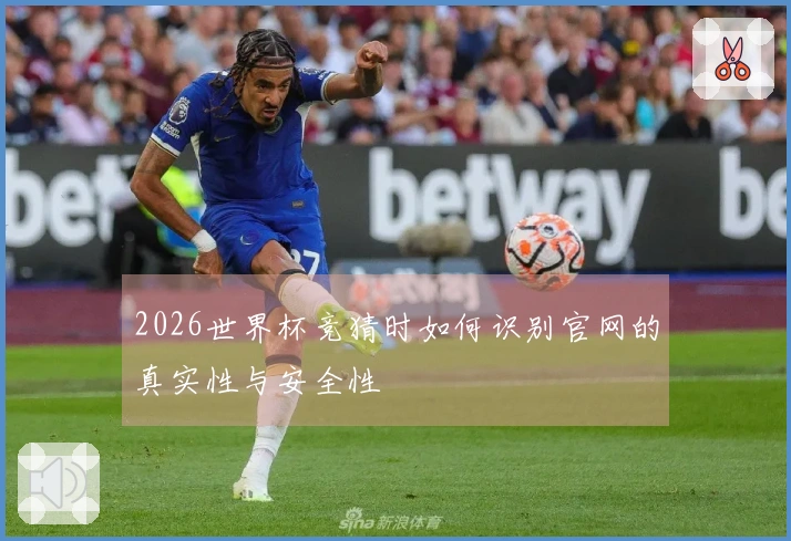 2026世界杯竞猜时如何识别官网的真实性与安全性