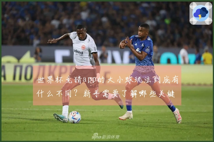 世界杯竞猜app的大小球玩法到底有什么不同?新手需要了解哪些关键点?