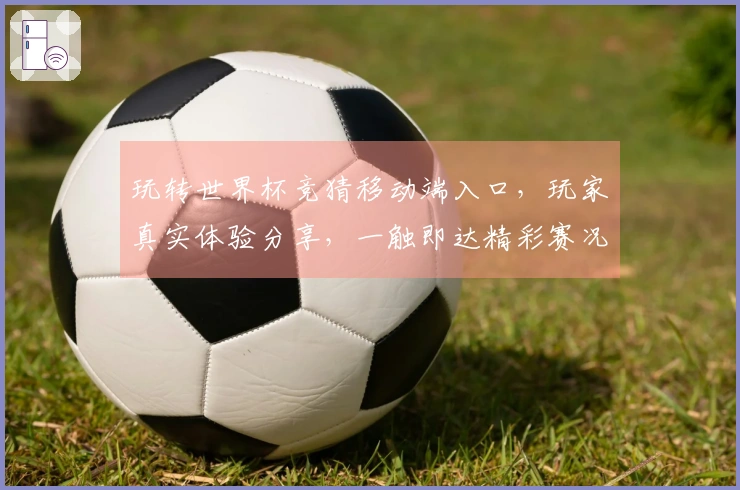 玩转世界杯竞猜移动端入口，玩家真实体验分享，一触即达精彩赛况！