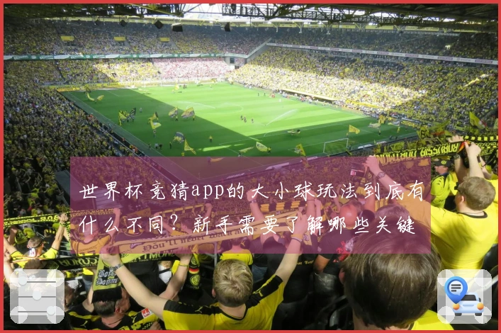世界杯竞猜app的大小球玩法到底有什么不同？新手需要了解哪些关键点？