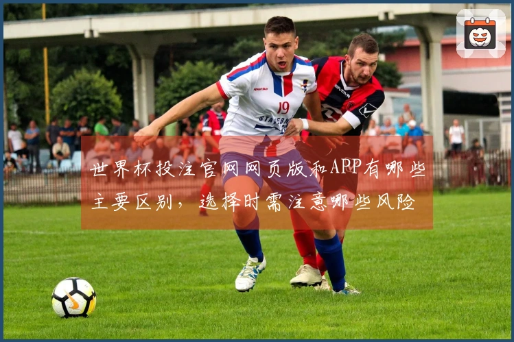 世界杯投注官网网页版和APP有哪些主要区别,选择时需注意哪些风险?