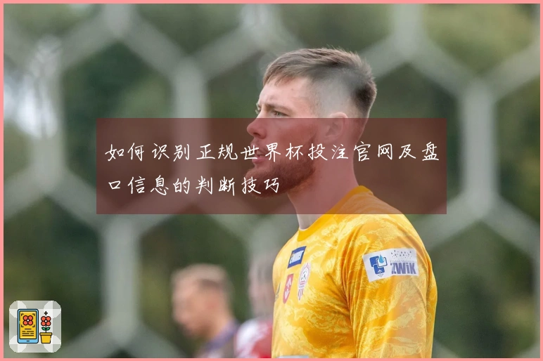如何识别正规世界杯投注官网及盘口信息的判断技巧