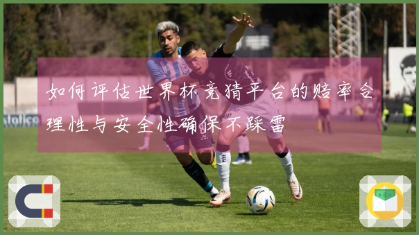 如何评估世界杯竞猜平台的赔率合理性与安全性确保不踩雷