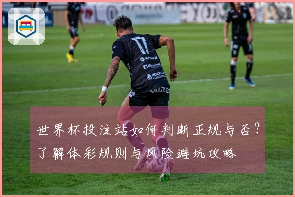 世界杯投注站如何判断正规与否？了解体彩规则与风险避坑攻略