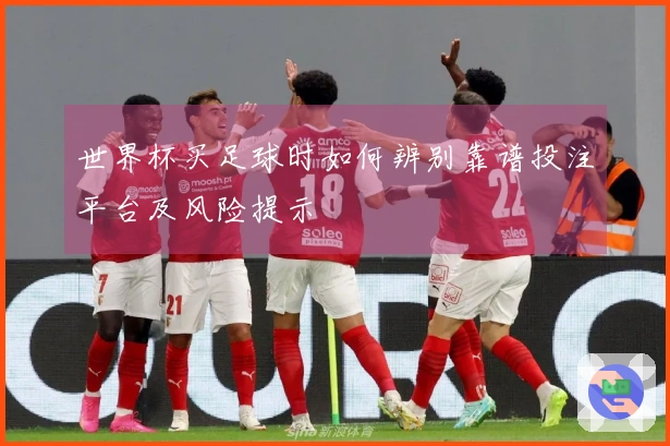 世界杯买足球时如何辨别靠谱投注平台及风险提示