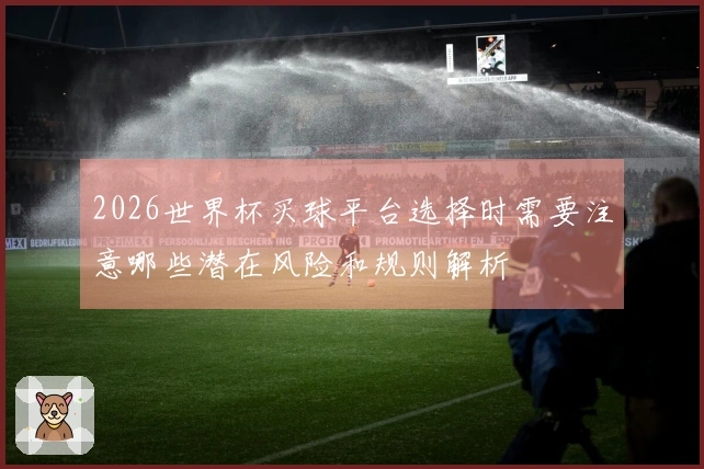 2026世界杯买球平台选择时需要注意哪些潜在风险和规则解析