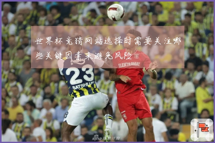 世界杯竞猜网站选择时需要关注哪些关键因素来避免风险