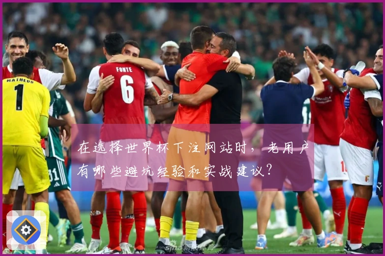 在选择世界杯下注网站时，老用户有哪些避坑经验和实战建议？
