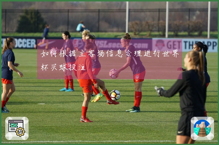 如何根据主客场信息合理进行世界杯买球投注